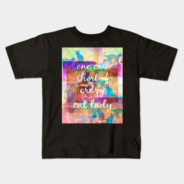 Cat Lady Kids T-Shirt by art64